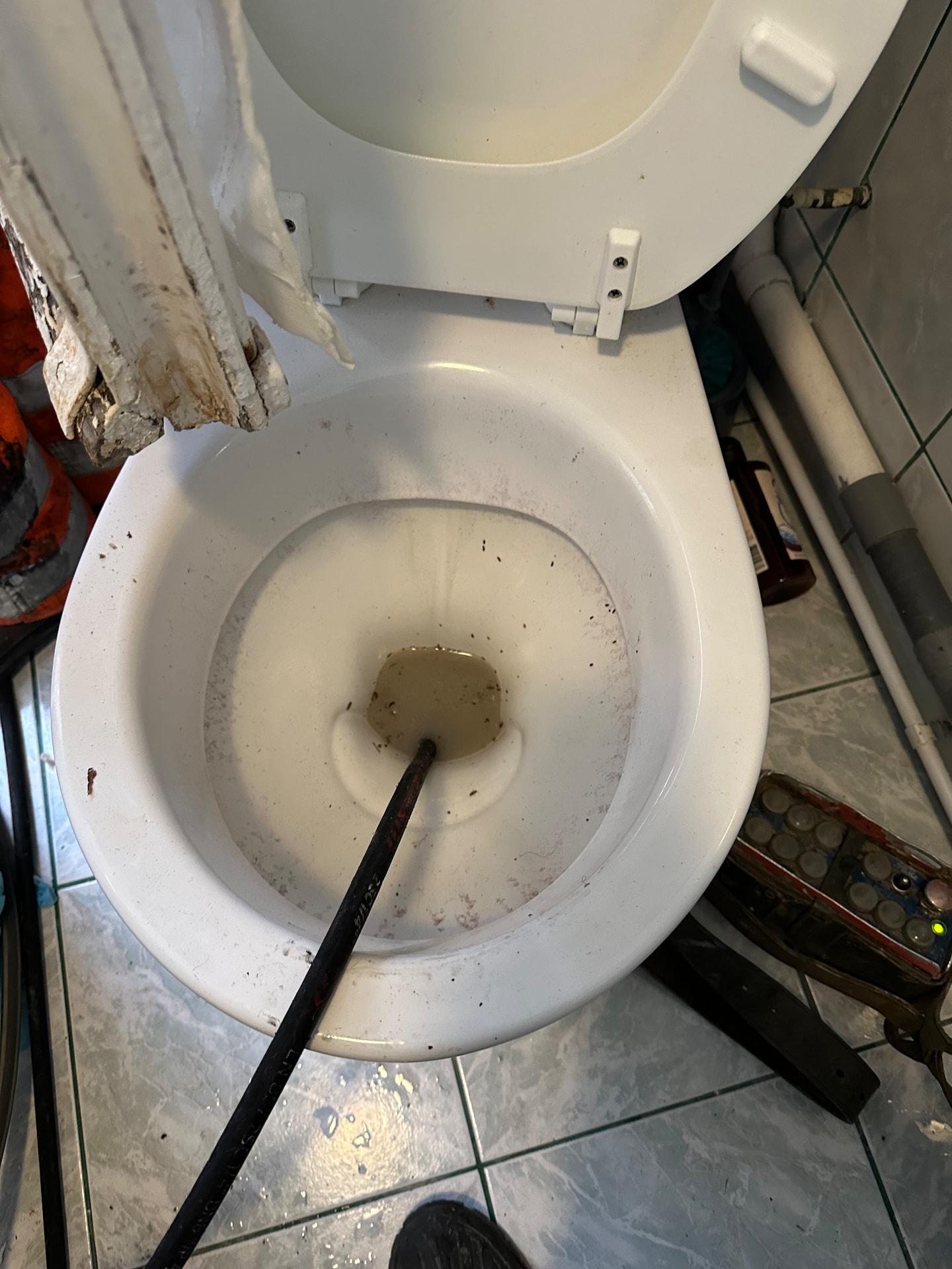 Furet mécanique introduit dans une cuvette de WC bouchée — Saint-Germain-en-Laye